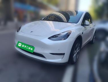 Tesla Model Y 2021 Tesla Model Y 2021 car image