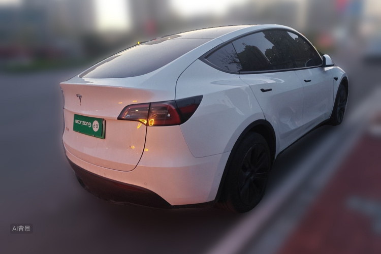 Tesla Model Y 2024 car image #7