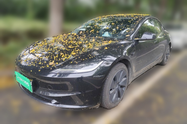 Tesla Model 3 2023 #2 Tesla Model 3 2023 car image #2