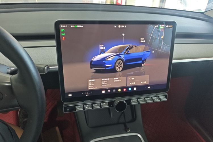 Tesla Model Y 2024 car image #13