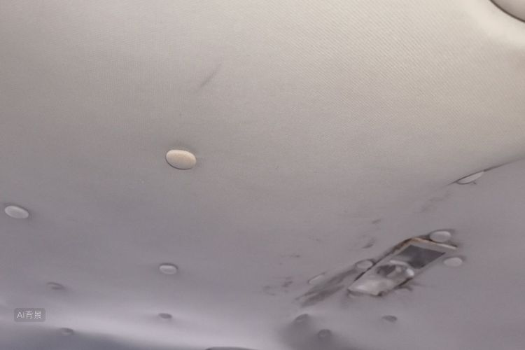 Volkswagen Lavida 2015 car image #20