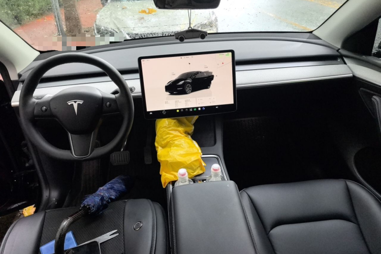 Tesla Model Y 2024 immagine di auto #7