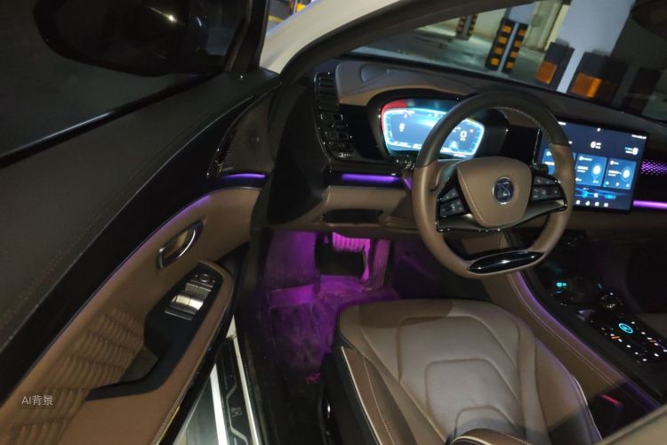 BYD Han 2022 car image #18
