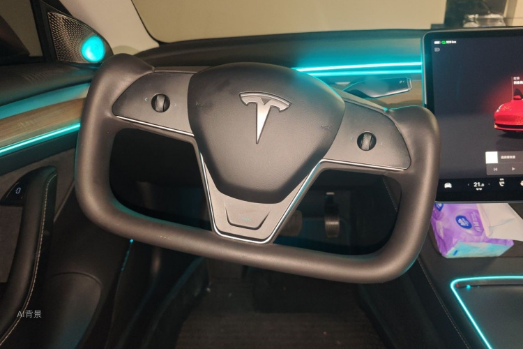 Tesla Model 3 2022 car image #12