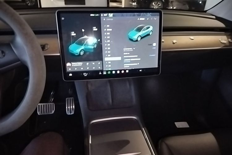Tesla Model Y 2021 immagine di auto #13