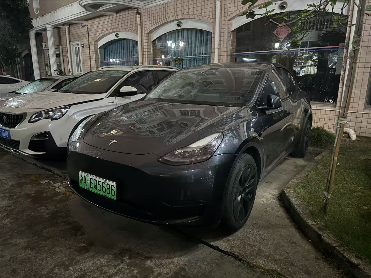 Tesla Model Y 2024 Tesla Model Y 2024 car image
