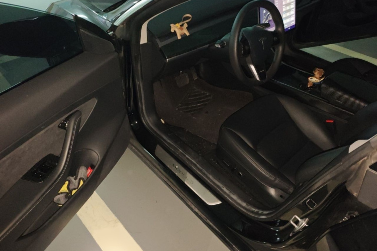 Tesla Model 3 2020 car image #13