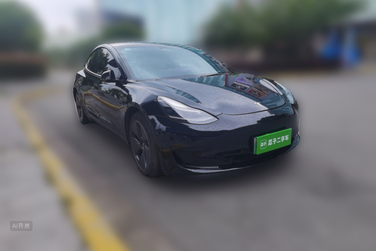 Tesla Model 3 2021 car image #4