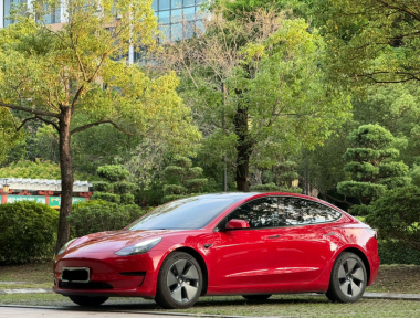 Tesla Model 3 2021 Tesla Model 3 2021 car image