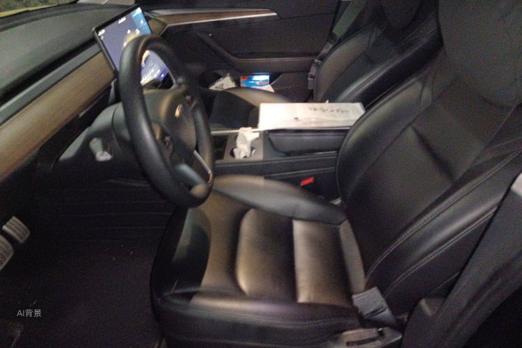 Tesla Model 3 2022 #17 Tesla Model 3 2022 car image #17