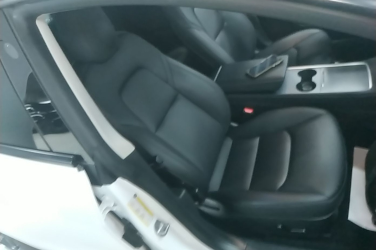 Tesla Model 3 2021 car image #24