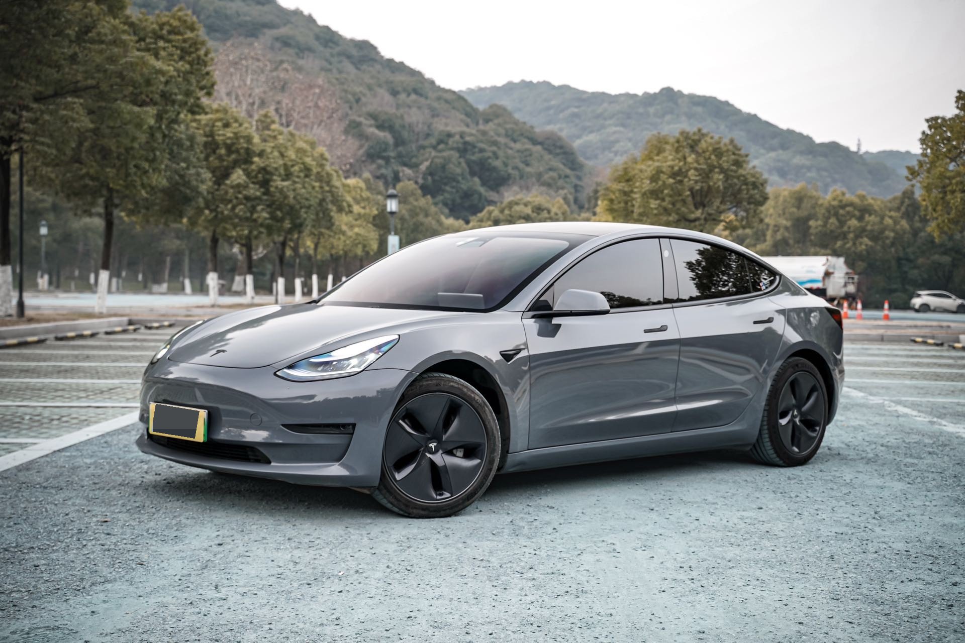 Tesla Model 3 2021 Tesla Model 3 2021 car image