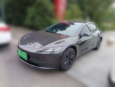 Tesla Model 3 2024 car image 