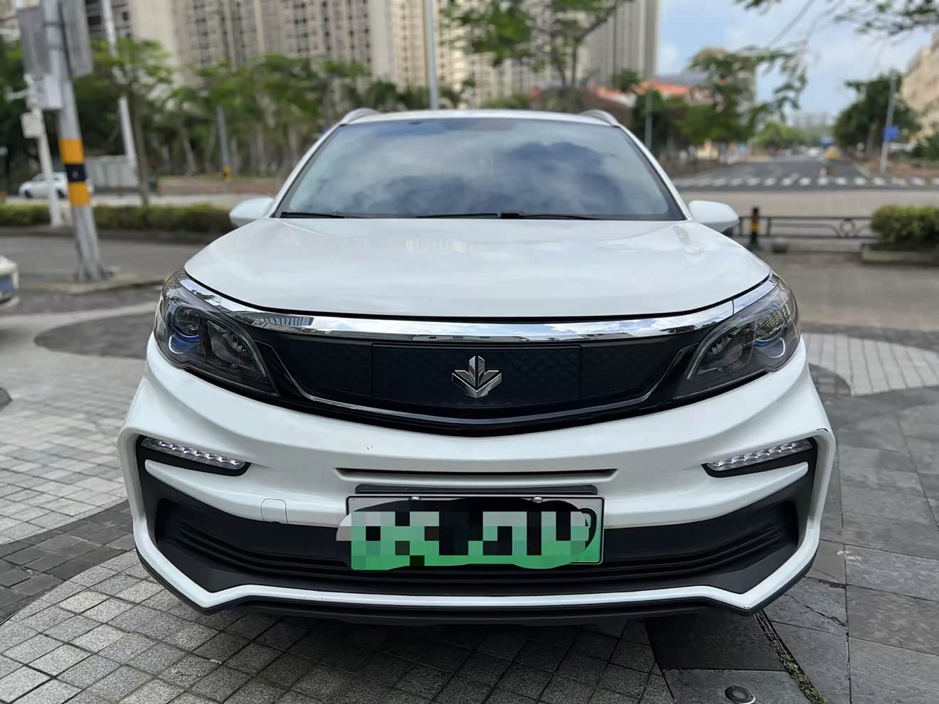 Livan Maple 30X 2020 汽车图片 