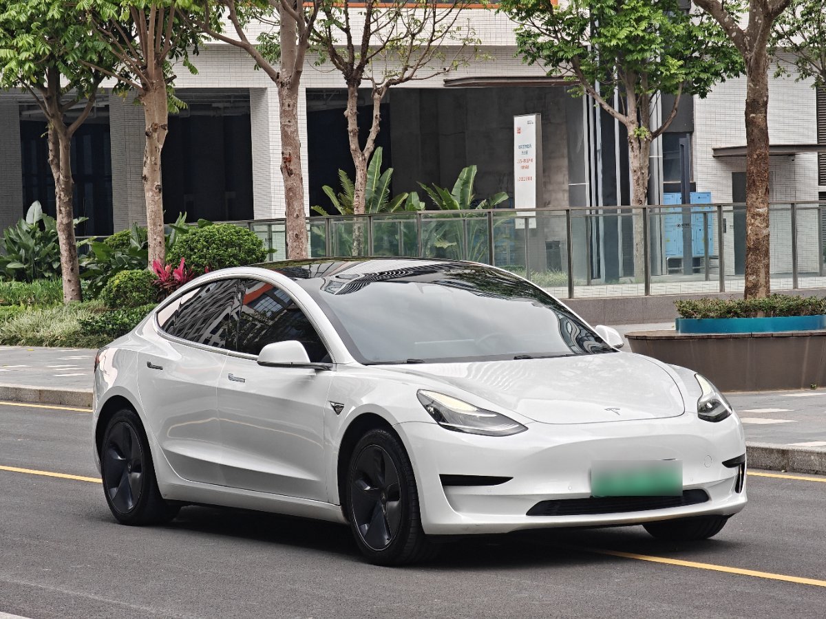 Tesla Model 3 2020 #3 Tesla Model 3 2020 car image #3