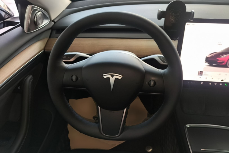 Tesla Model 3 2022 car image #11