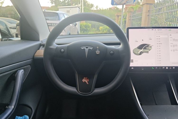 Tesla Model 3 2020 #12 Tesla Model 3 2020 car image #12