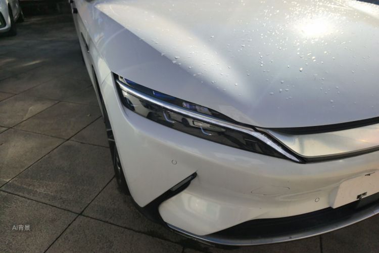 BYD Han 2020 #8 BYD Han 2020 immagine di auto #8