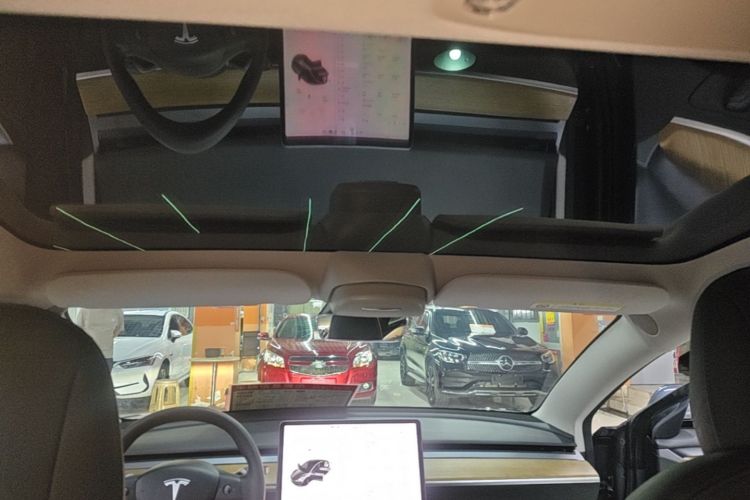 Tesla Model 3 2021 car image #18