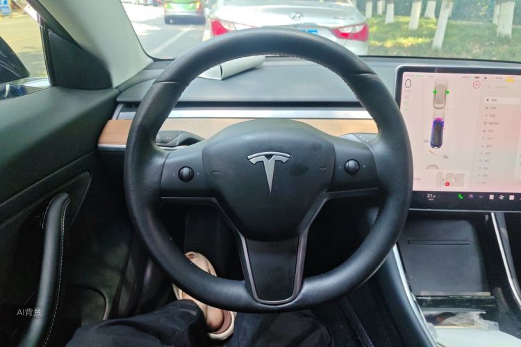 Tesla Model 3 2020 car image #12