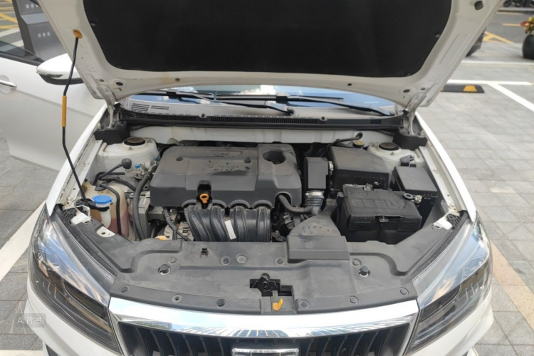 GEELY Emgrand 2021 immagine di auto #22