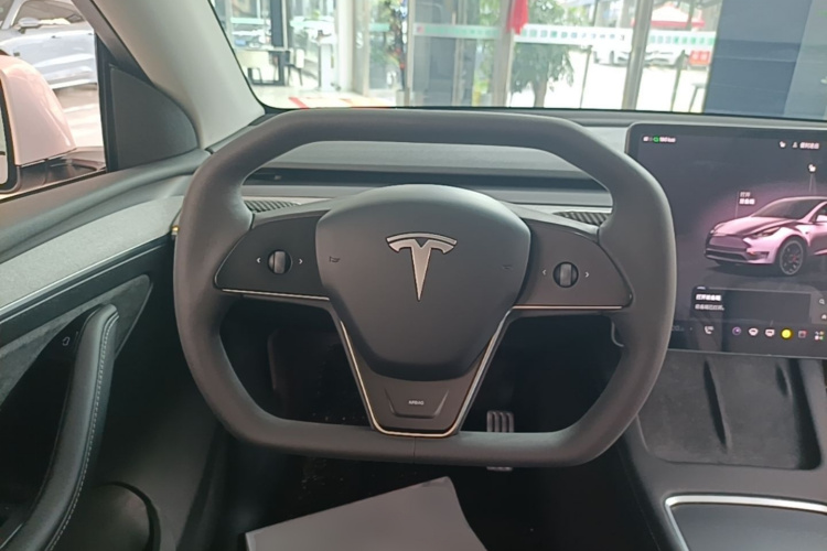 Tesla Model Y 2021 car image #15