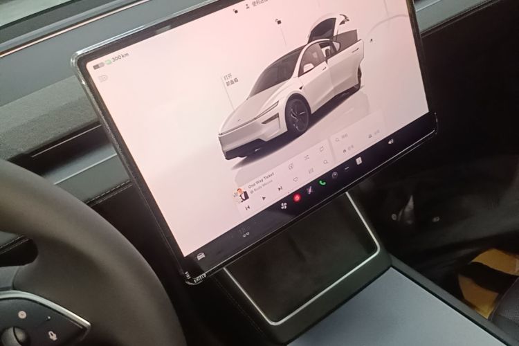 Tesla Model Y 2025 car image #14