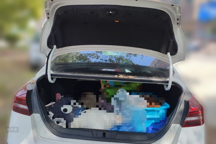 GEELY Emgrand 2021 #21 GEELY Emgrand 2021 car image #21