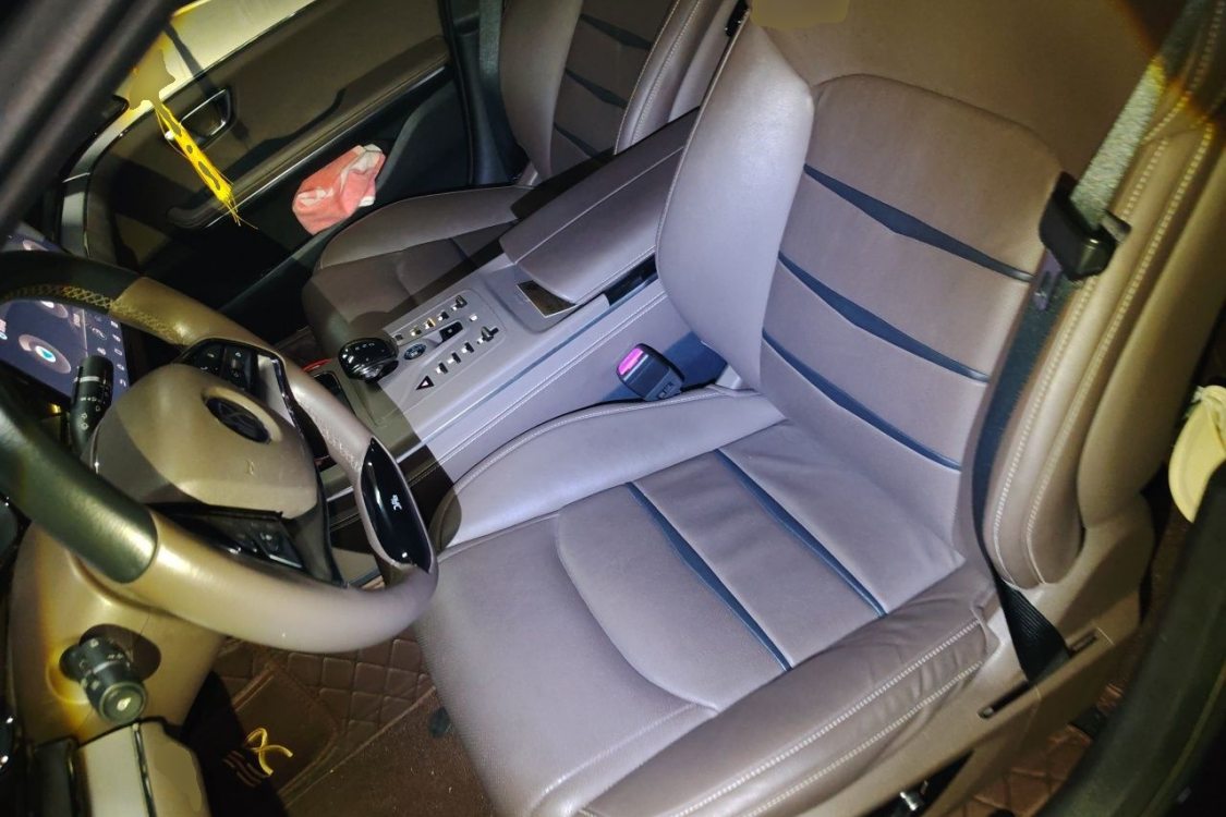 BYD Han 2022 car image #18