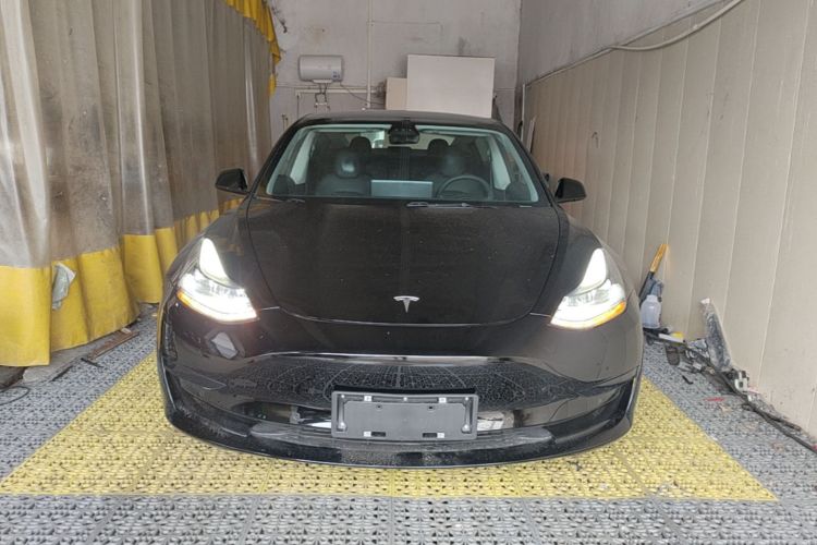 Tesla Model 3 2021 #3 Tesla Model 3 2021 car image #3