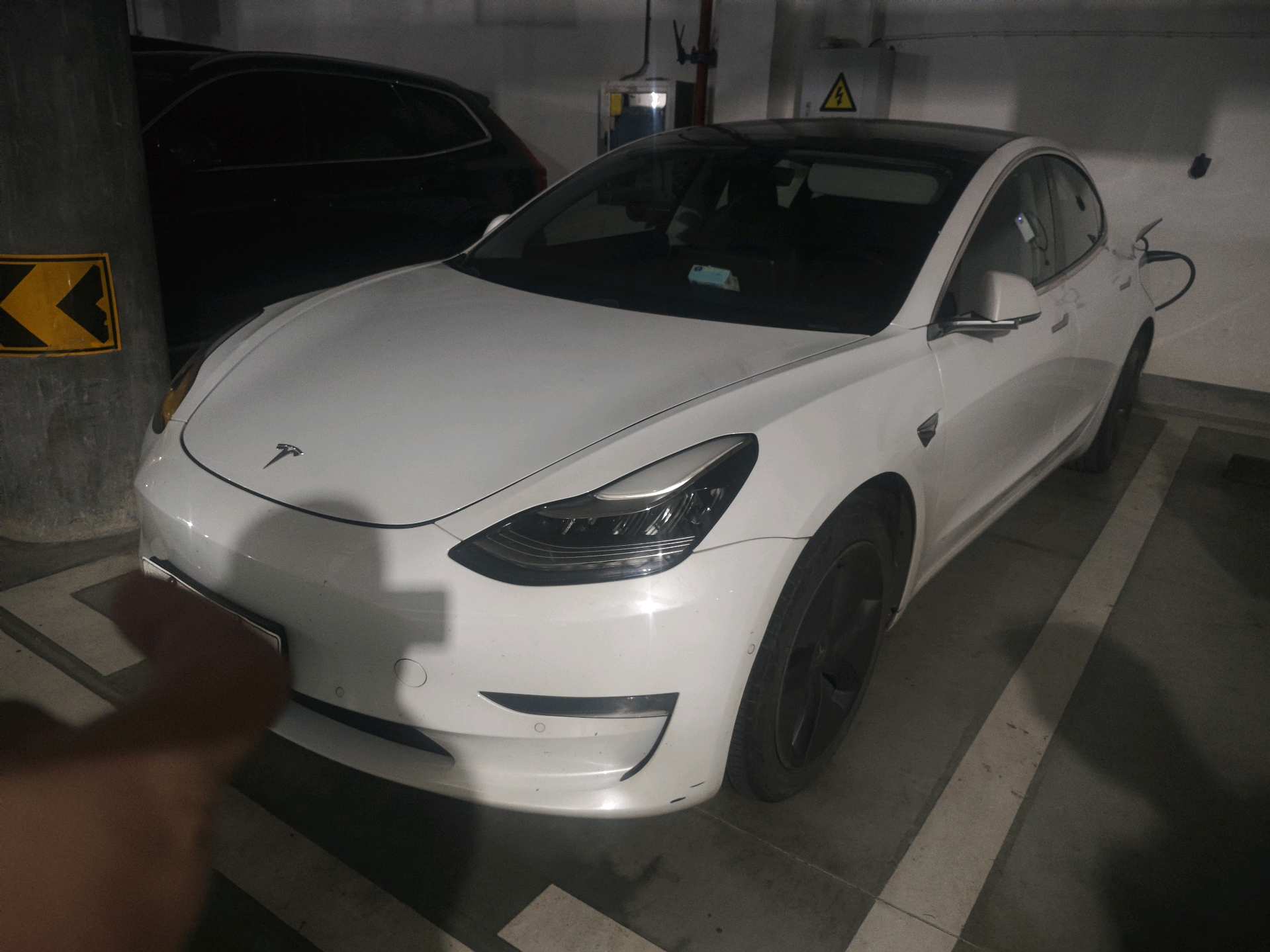 Tesla Model 3 (Imported) 2019 Tesla Model 3 (Imported) 2019 car image