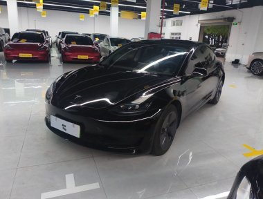 Tesla Model 3 2022 car image 