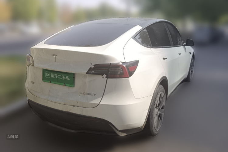 Tesla Model Y 2024 car image #7