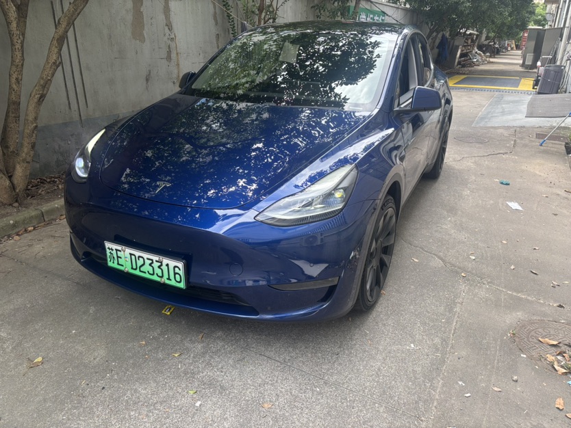 Tesla Model Y 2021 Tesla Model Y 2021 car image