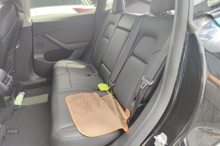 Tesla Model Y 2021 car image #19