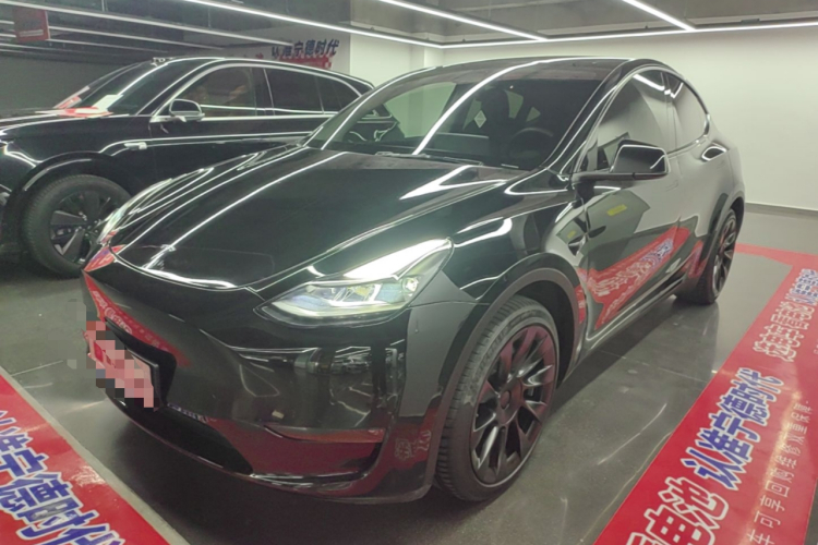 Tesla Model Y 2021 #2 Tesla Model Y 2021 car image #2