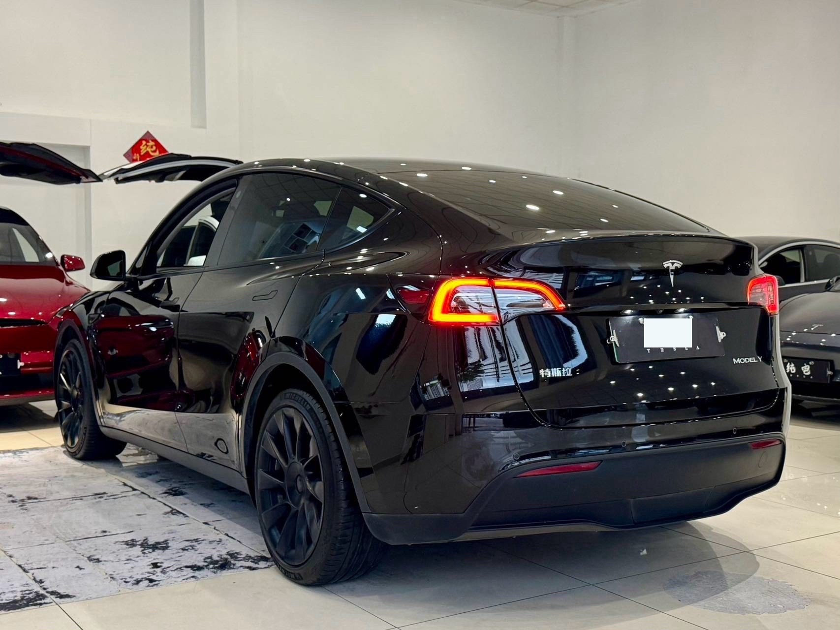 Tesla Model Y 2021 car image #12