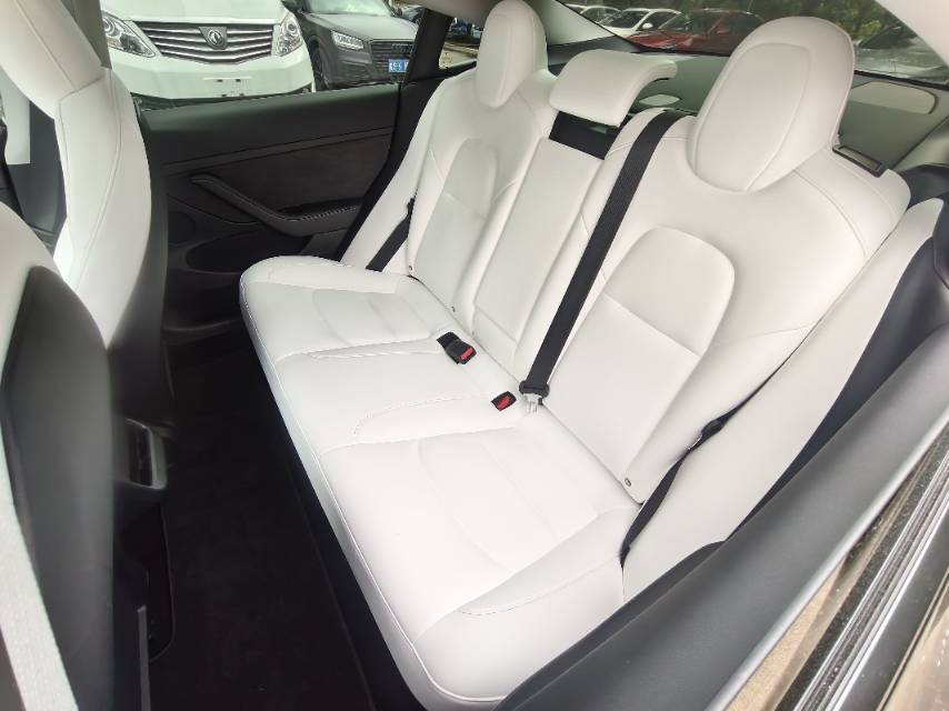 Tesla Model 3 2021 #7 Tesla Model 3 2021 car image #7