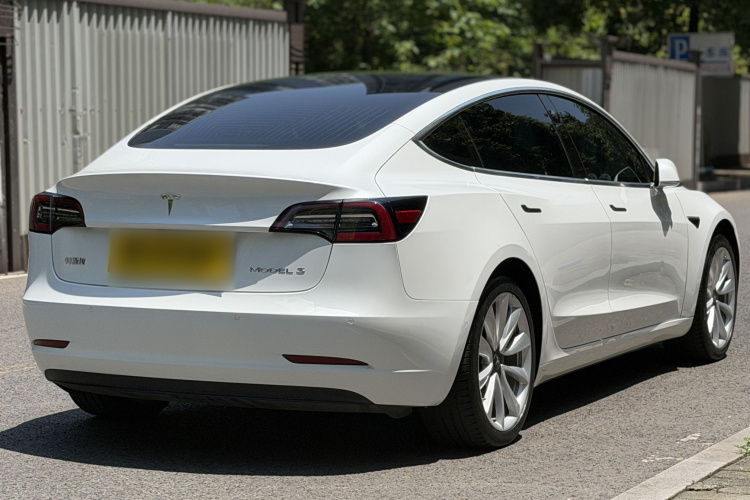 Tesla Model 3 2020 car image #8