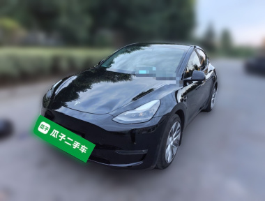 Tesla Model Y 2021 Tesla Model Y 2021 car image