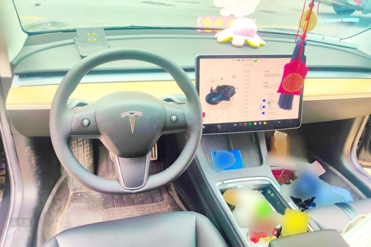 Tesla Model 3 2022 car image #12