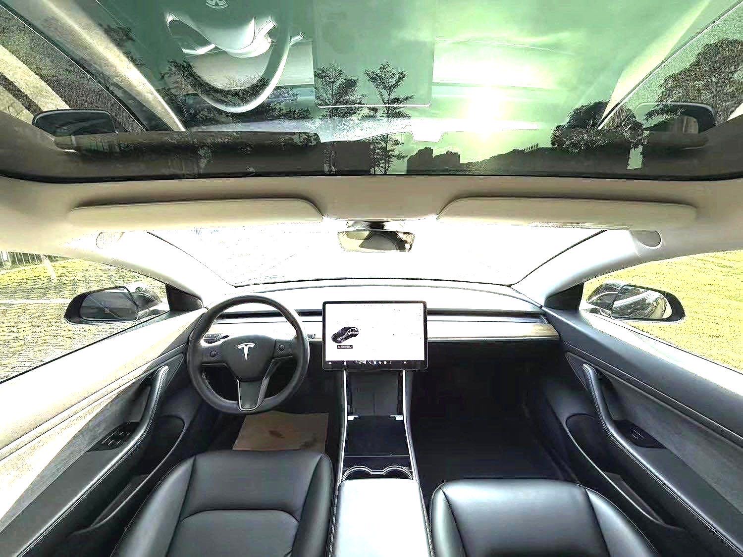 Tesla Model 3 2020 imagem de carro #3