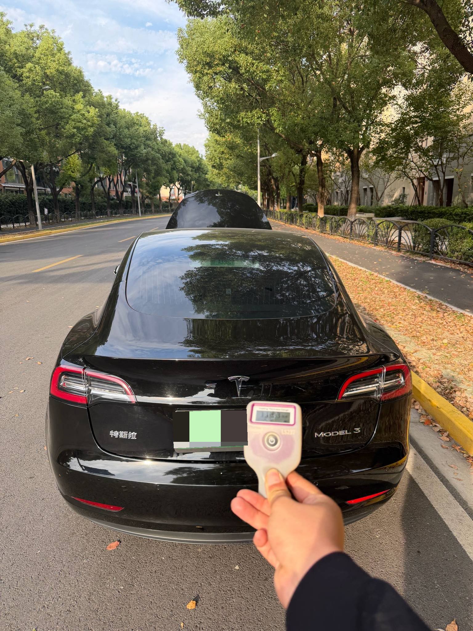 Tesla Model 3 2020 car image #4