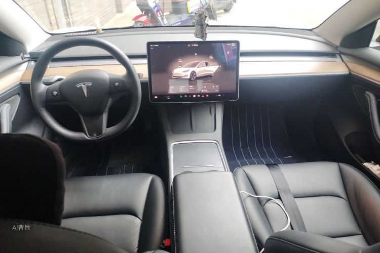 Tesla Model 3 2022 car image #11