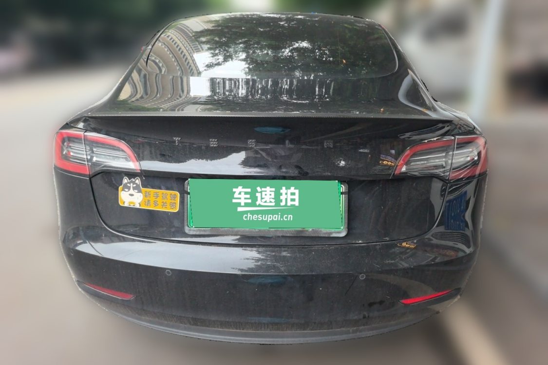 Tesla Model 3 2022 #6 Tesla Model 3 2022 car image #6