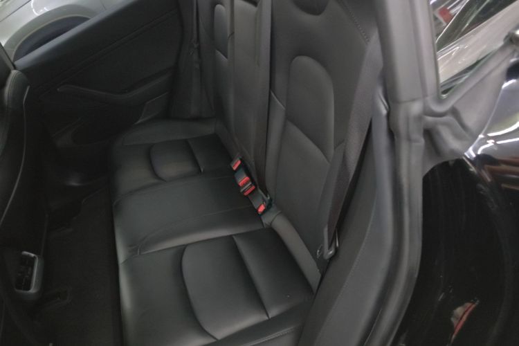 Tesla Model 3 2020 #13 Tesla Model 3 2020 car image #13