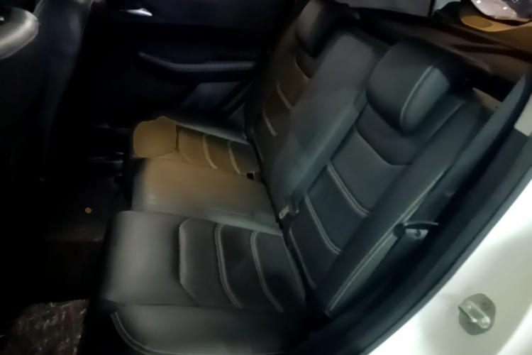 BYD Yuan New Energy 2020 car image #17