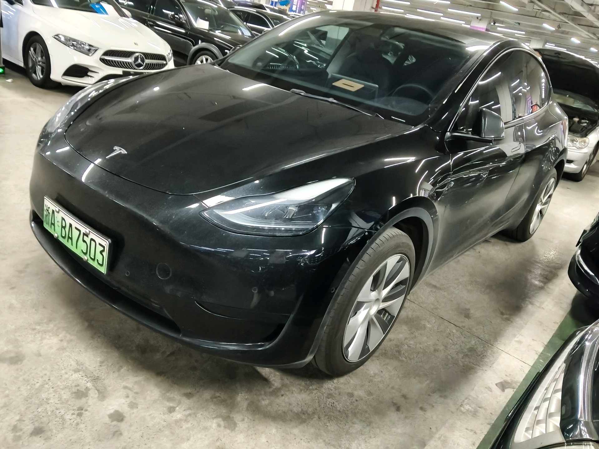 Tesla Model Y 2023 Tesla Model Y 2023 car image