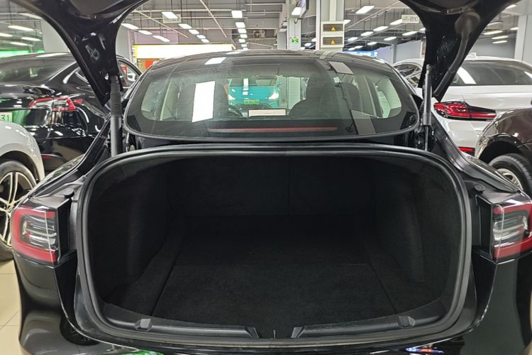 Tesla Model 3 2023 car image #21