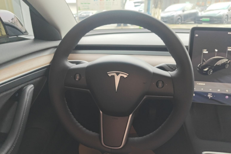 Tesla Model 3 2021 car image #11